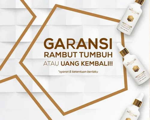 garansi-01.webp garansi-01.webp